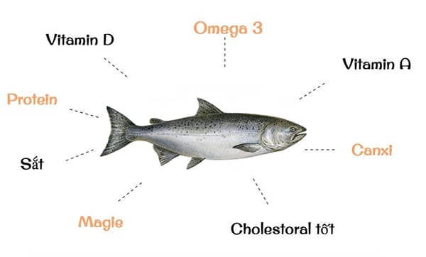 Dinh dưỡng trong cá hồi