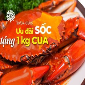 Ưu đãi tặng 1 kg cua tại nhà hàng hải sản San Hô Đỏ Nguyễn Thị Thập, Hà Nội 2