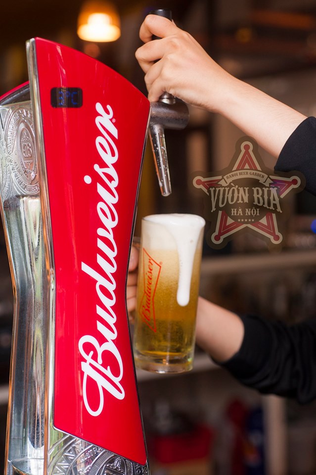 Ly bia tươi Budweiser và món ăn tại Vườn Bia Hà Nội